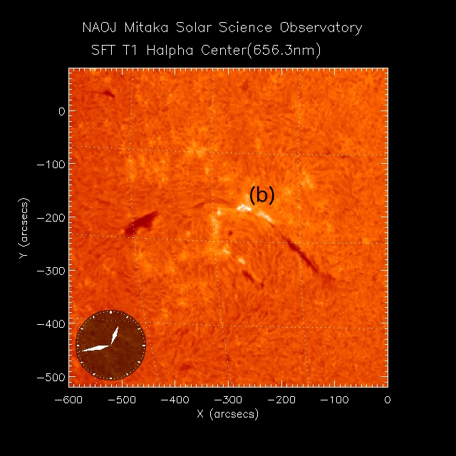 国立天文台 太陽観測科学プロジェクト