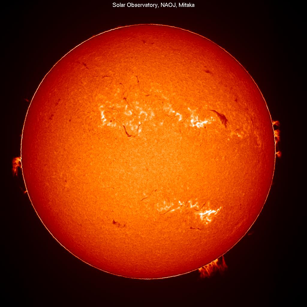 国立天文台 太陽観測科学プロジェクト 三鷹太陽地上観測