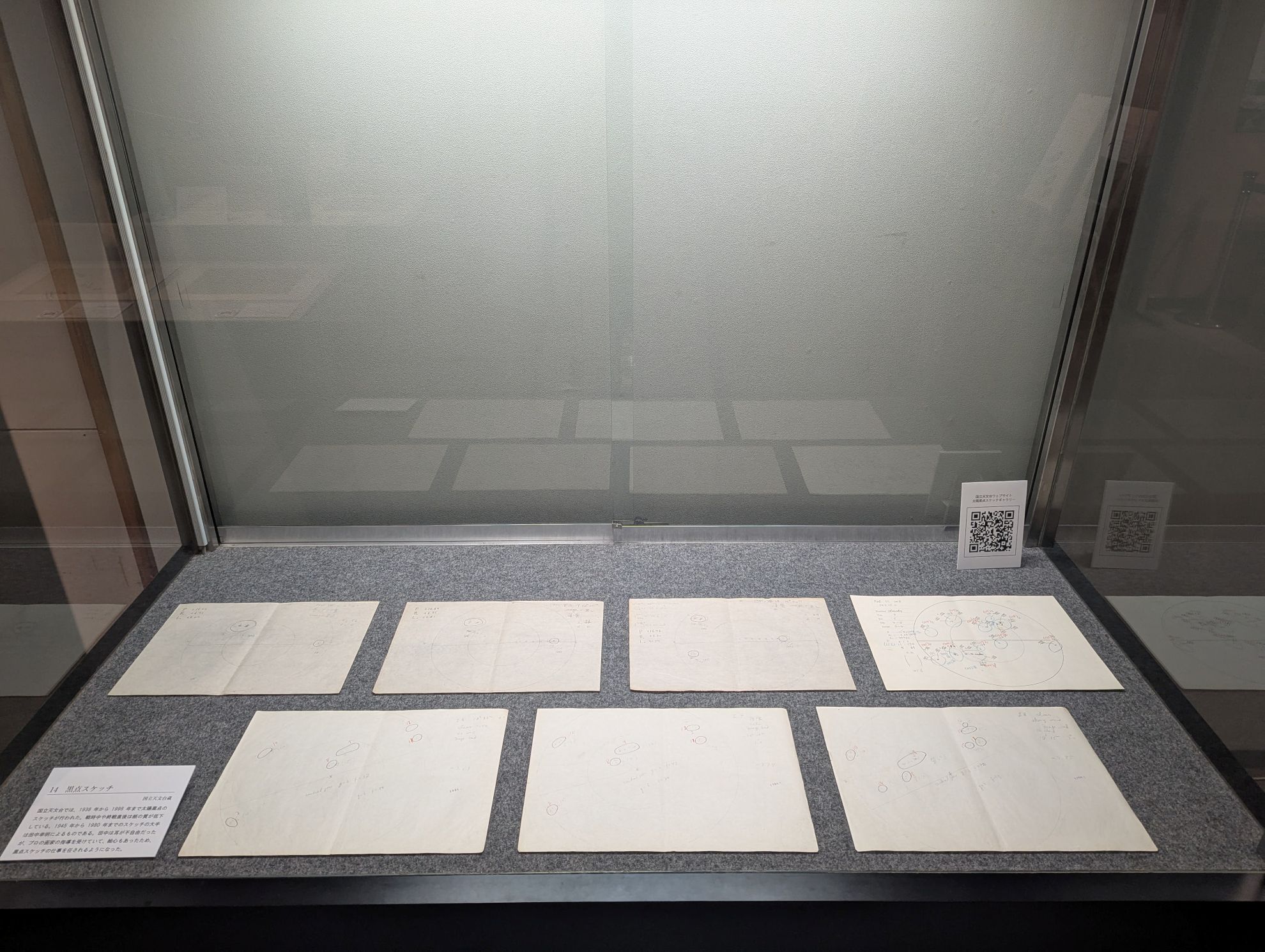 展示ケースごしのスケッチ