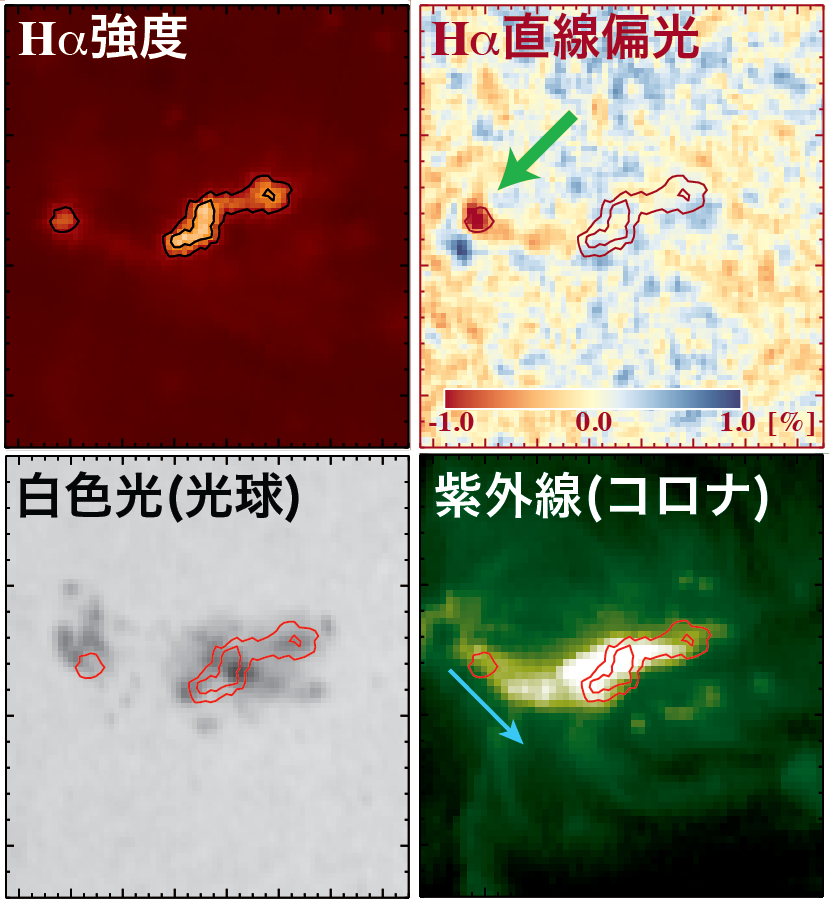 https://solarwww.mtk.nao.ac.jp/jp/topics/topics0009_maps1.png